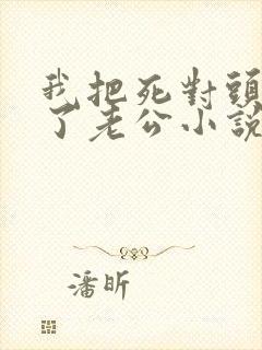 我把死对头养成了老公小说