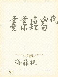 爸爸你凶我我也爱你短句