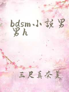 bdsm小说男男h