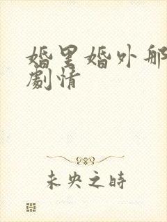 婚里婚外那些事剧情