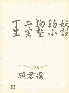 丁二狗的妖孽人生完整小说txt