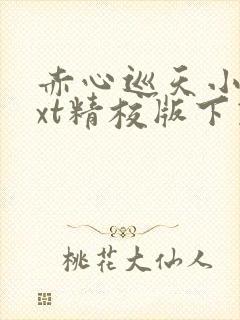 赤心巡天小说txt精校版下载