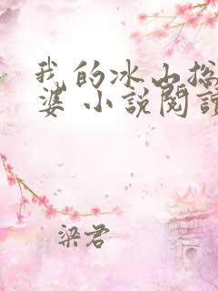 我的冰山总裁老婆 小说阅读