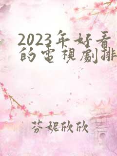 2023年好看的电视剧排行榜前十名