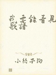 我要能看见歌词歌谱