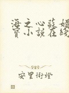 海之心苏媚赵大宝小说在线阅读