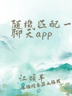 随机匹配一对一聊天app