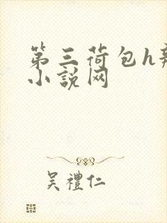 第三荷包h辣文小说网