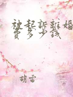 被起诉离婚律师费多少钱