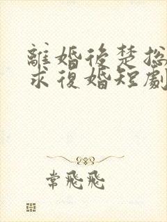 离婚后楚总天天求复婚短剧免费观看