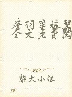 唐羽宁婉儿小说全文免费阅读