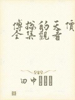 傅总的天价萌宝全集观看