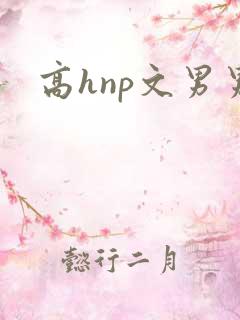 高hnp文男男