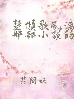 楚倾歌风漓夜是哪部小说的主人公