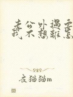 老公外遇要离婚我不想离怎么