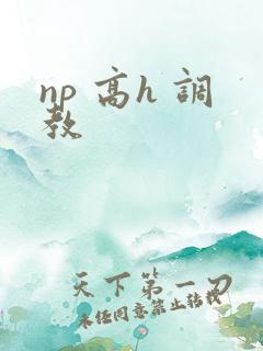 np 高h 调教