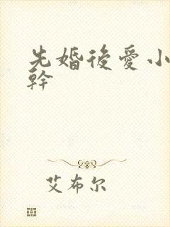 先婚后爱小说高干