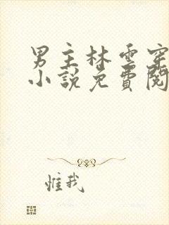 男主林云穿越的小说免费阅读