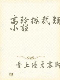 高干总裁类宠文小说