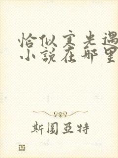 恰似寒光遇骄阳小说在哪里看免费