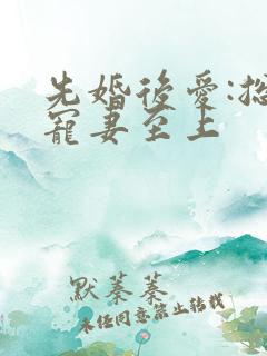 先婚后爱:总裁宠妻至上