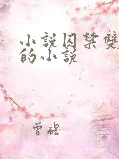 小说囚禁双男主的小说