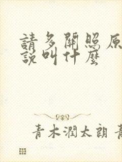 请多关照原著小说叫什么