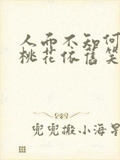 人面不知何处去桃花依旧笑春风是什么生肖