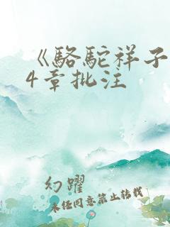 《骆驼祥子》24章批注