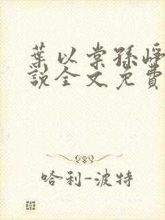 叶以棠孙峥宇小说全文免费阅读