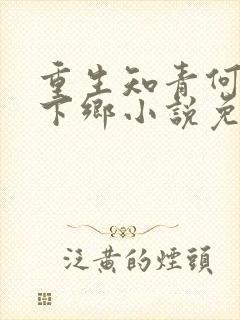 重生知青何思为下乡小说免费阅读