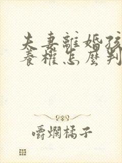 夫妻离婚孩子抚养权怎么判定给父亲