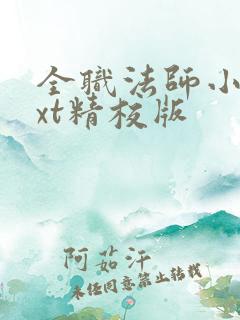 全职法师小说txt精校版