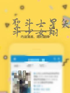 圣斗士星矢 圣斗少女翔