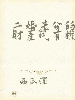 二婚老公的婚前财产我有权继承吗