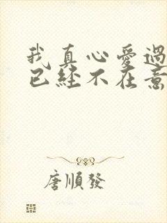 我真心爱过你你已经不在意是什么歌