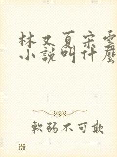 林又夏宋云深的小说叫什么名字