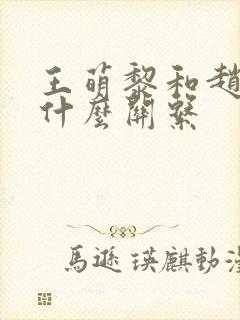 王萌黎和赵露思什么关系