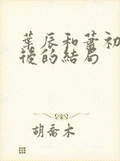 叶辰和萧初然最后的结局