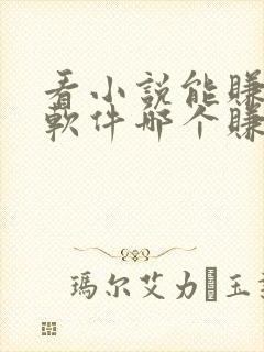 看小说能赚钱的软件哪个赚得多