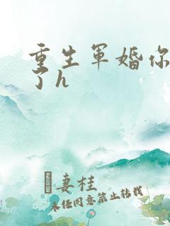 重生军婚你太大了h