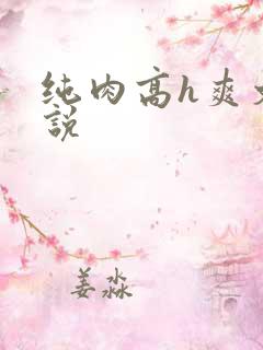纯肉高h爽文小说