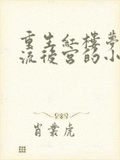 重生红楼梦之风流后宫的小说