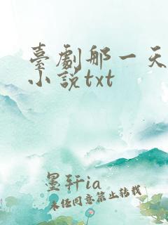 台剧那一天原著小说txt