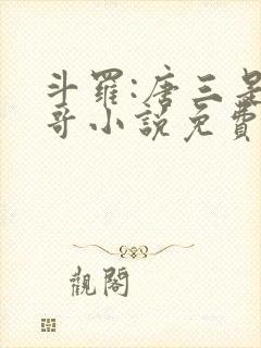 斗罗:唐三是我哥小说免费阅读