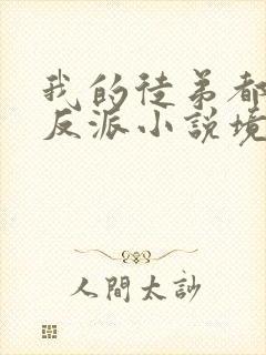 我的徒弟都是大反派小说境界划分