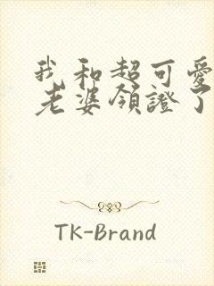 我和超可爱总裁老婆领证了免费阅读