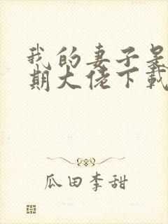 我的妻子是大乘期大佬下载