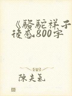 《骆驼祥子》读后感800字