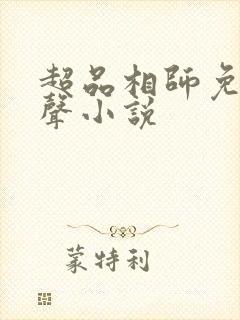 超品相师免费有声小说